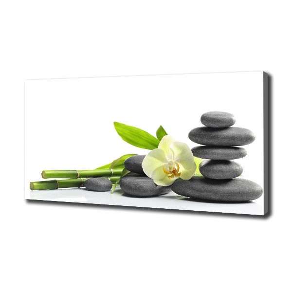 Foto canvas Orchidee