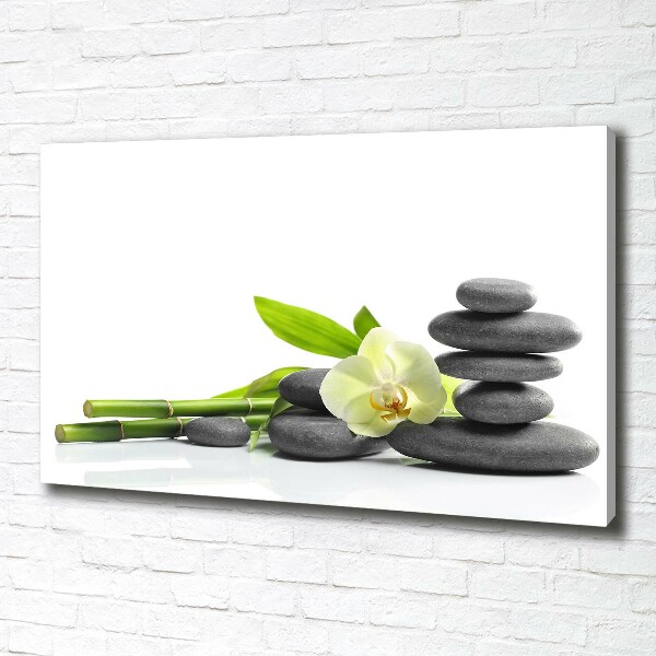 Foto canvas Orchidee
