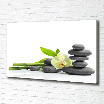 Foto canvas Orchidee
