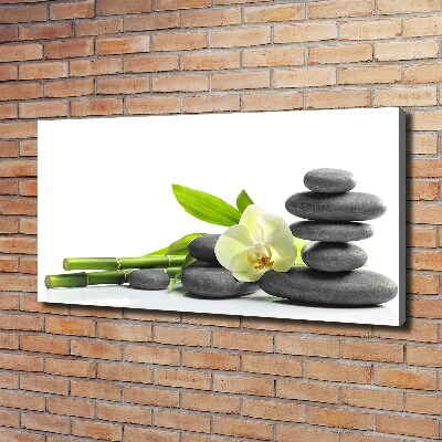 Foto canvas Orchidee