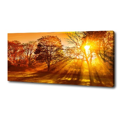 Schilderij op canvas Zonsondergang