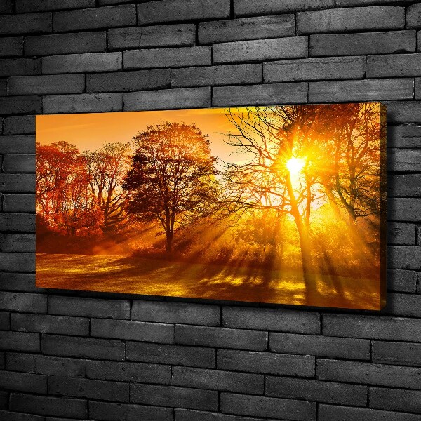 Schilderij op canvas Zonsondergang