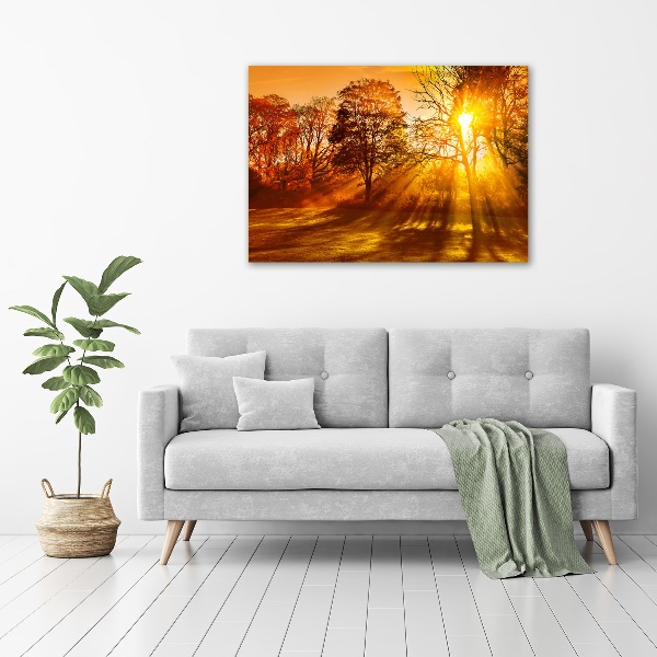 Schilderij op canvas Zonsondergang