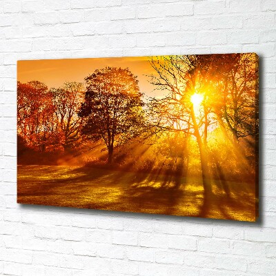 Schilderij op canvas Zonsondergang