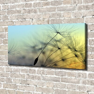 Foto obraz na płótnie Nasiona dmuchawca