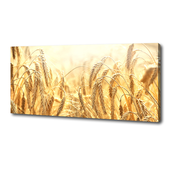 Schilderij op canvas Graan