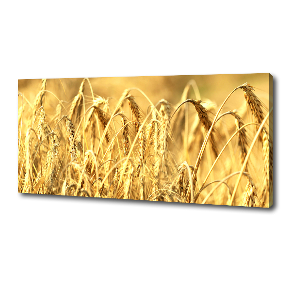 Foto canvas Graan