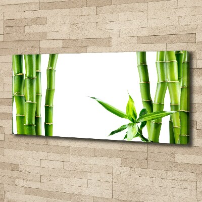 Foto op canvas Bamboe