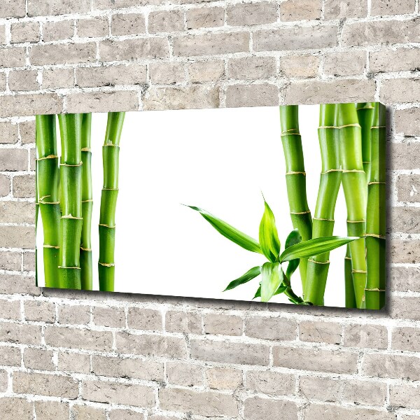 Foto op canvas Bamboe