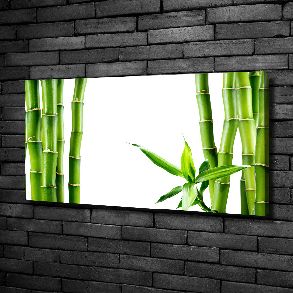 Foto op canvas Bamboe