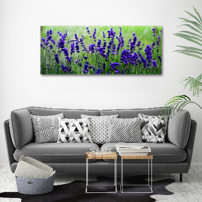 Canvas foto Lavendel