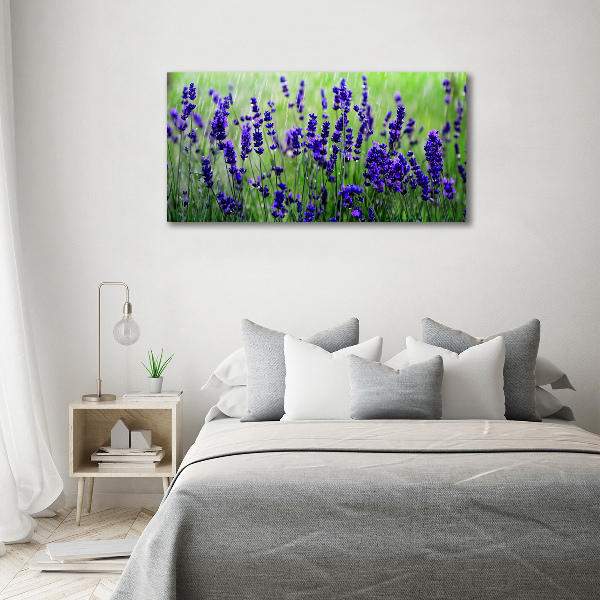 Canvas foto Lavendel