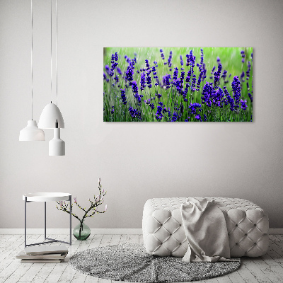 Canvas foto Lavendel