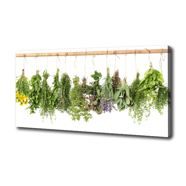 Foto obraz na płótnie Zioła na sznurku