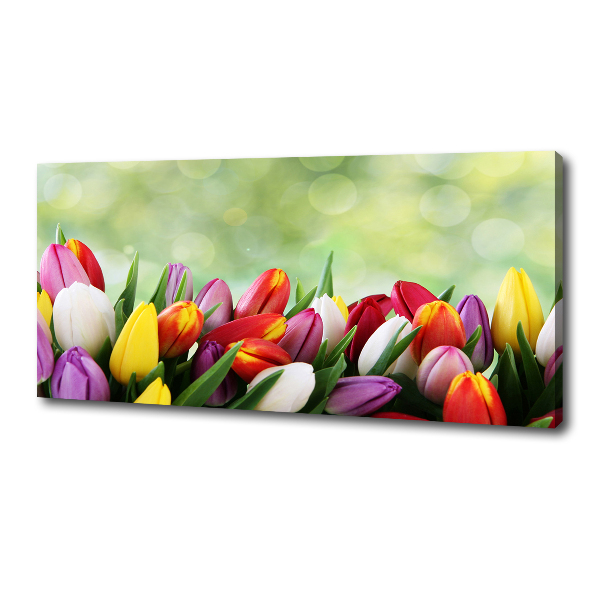 Foto canvas Kleurrijke tulpen