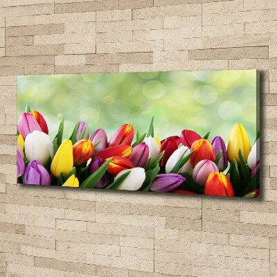 Foto canvas Kleurrijke tulpen
