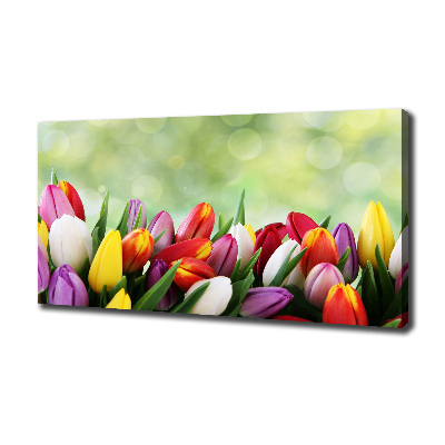 Foto canvas Kleurrijke tulpen