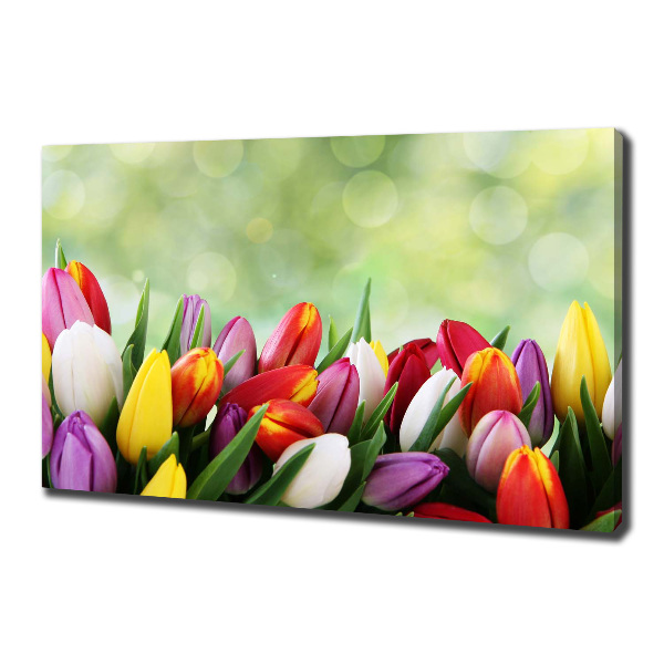 Foto canvas Kleurrijke tulpen