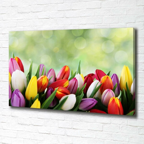 Foto canvas Kleurrijke tulpen