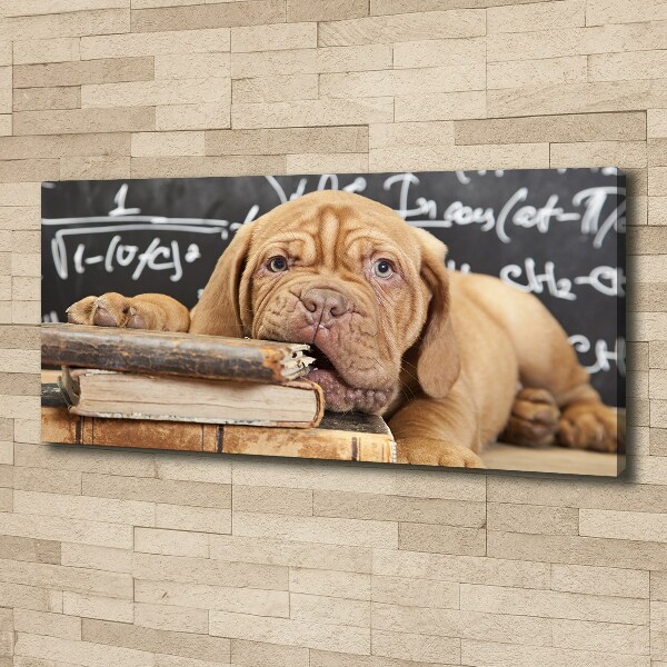 Foto canvas De hond bijt in het boek.