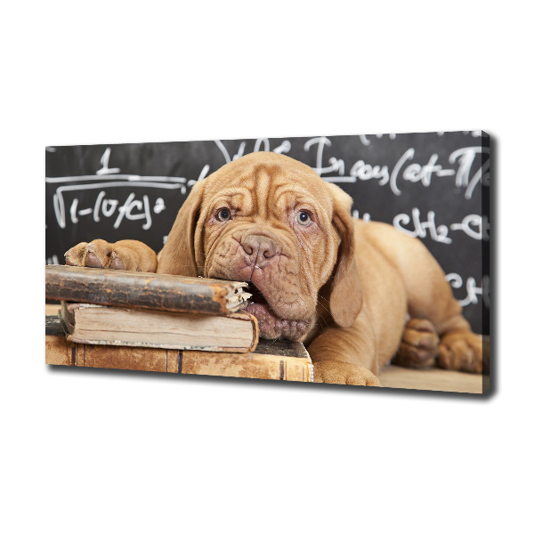 Foto canvas De hond bijt in het boek.