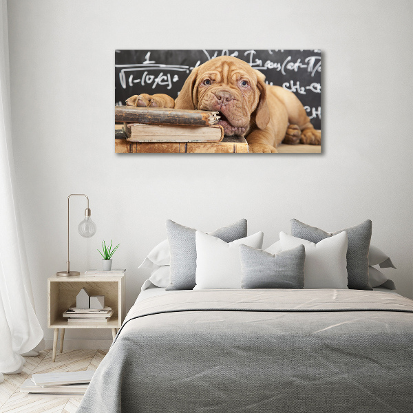 Foto canvas De hond bijt in het boek.