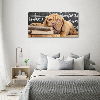 Foto canvas De hond bijt in het boek.