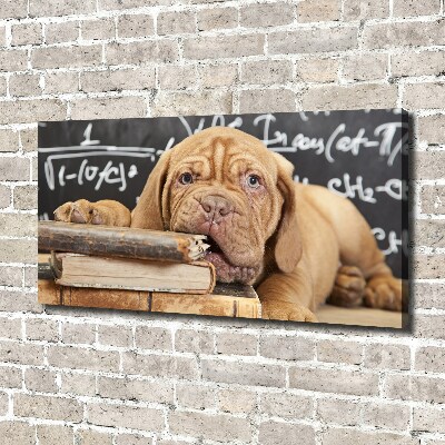 Foto canvas De hond bijt in het boek.