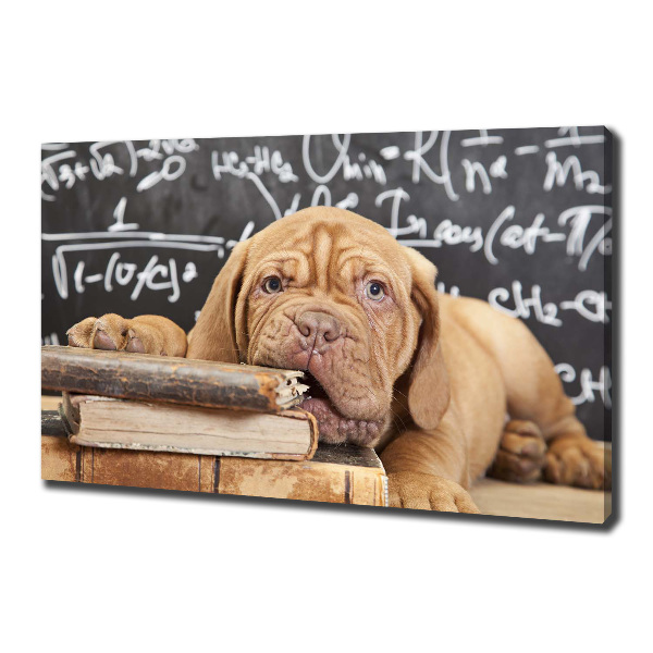 Foto canvas De hond bijt in het boek.