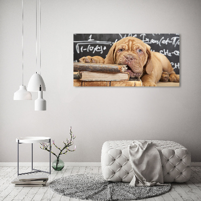 Foto canvas De hond bijt in het boek.