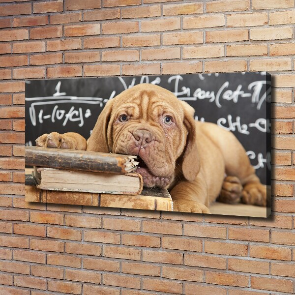 Foto canvas De hond bijt in het boek.