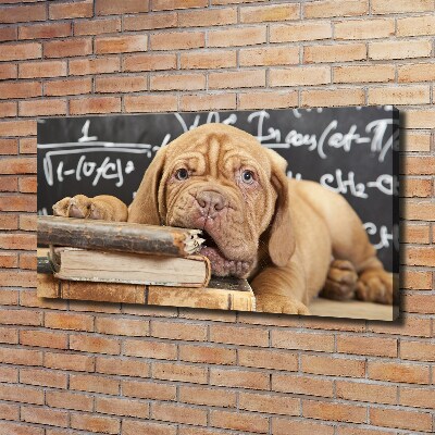Foto canvas De hond bijt in het boek.