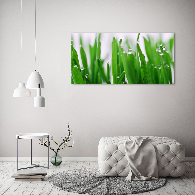 Foto op canvas grassprieten