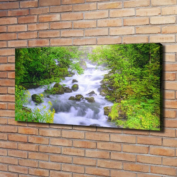 Foto canvas Bergrivier
