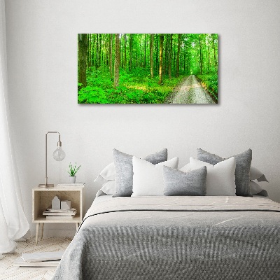 Canvas foto Bomen in het bos
