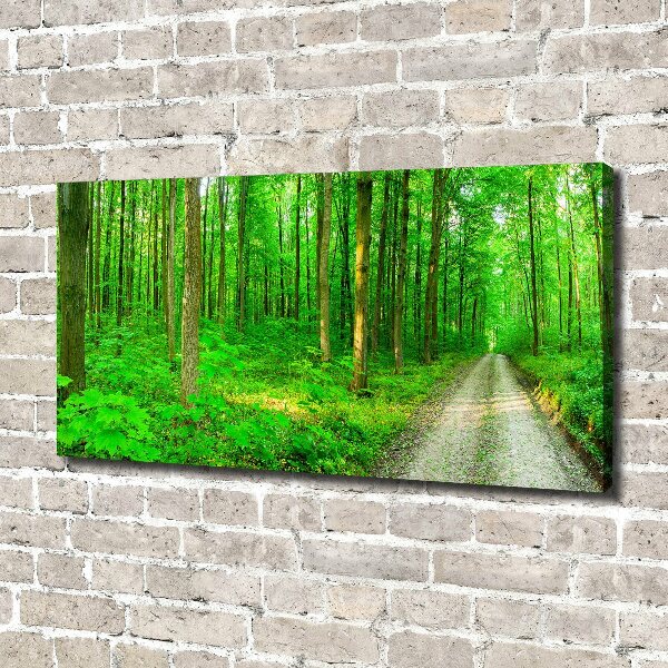 Canvas foto Bomen in het bos