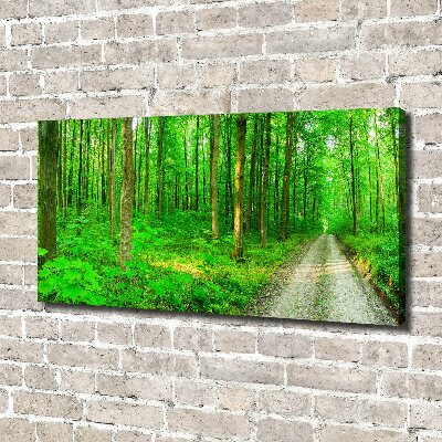 Canvas foto Bomen in het bos