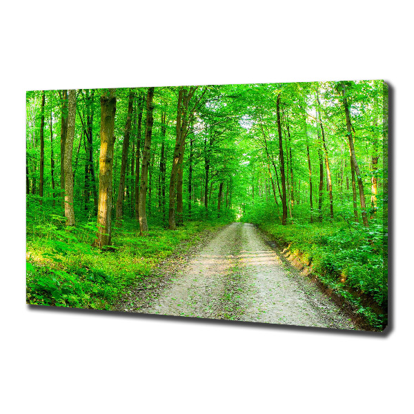 Canvas foto Bomen in het bos