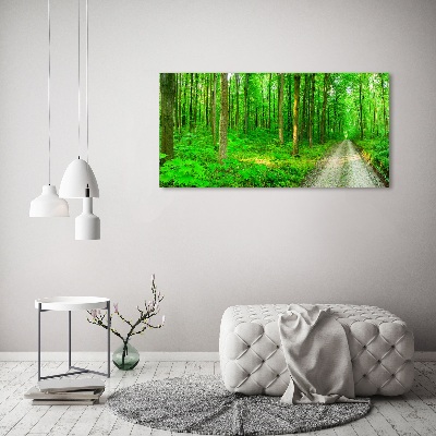 Canvas foto Bomen in het bos
