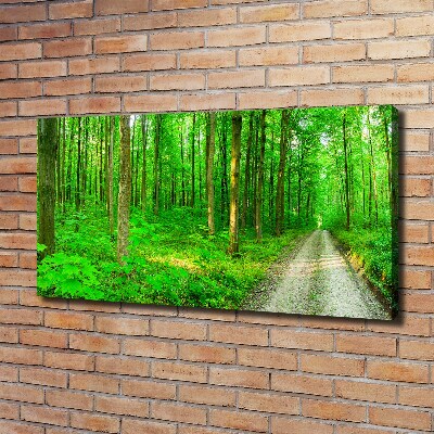 Canvas foto Bomen in het bos