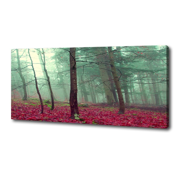 Foto canvas Herfstbladeren