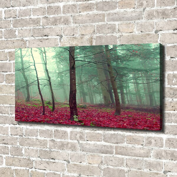 Foto canvas Herfstbladeren