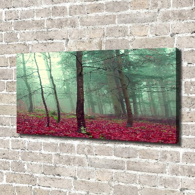 Foto canvas Herfstbladeren