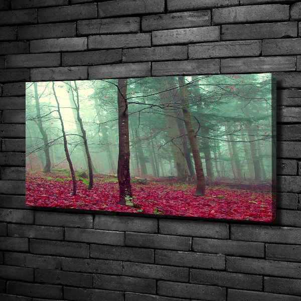 Foto canvas Herfstbladeren