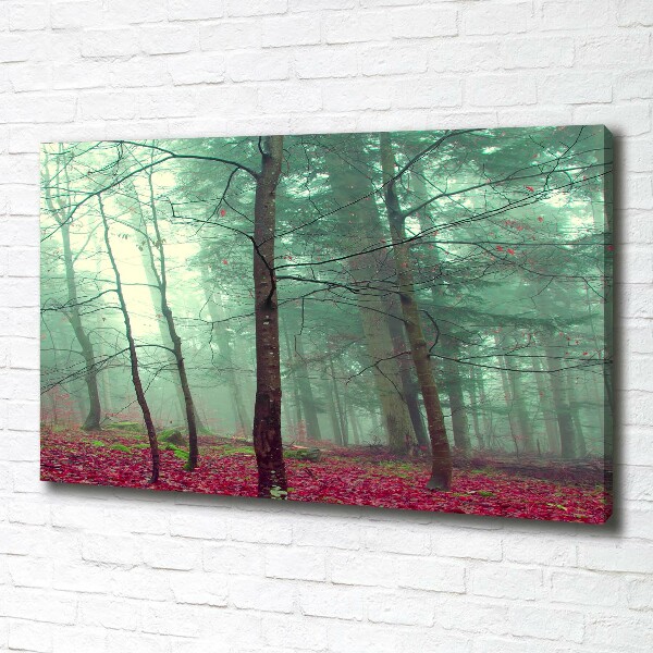 Foto canvas Herfstbladeren
