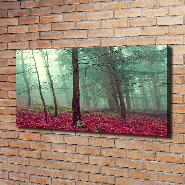 Foto canvas Herfstbladeren
