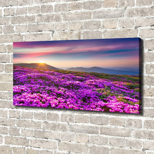 Foto obraz na płótnie Kwiaty w górach
