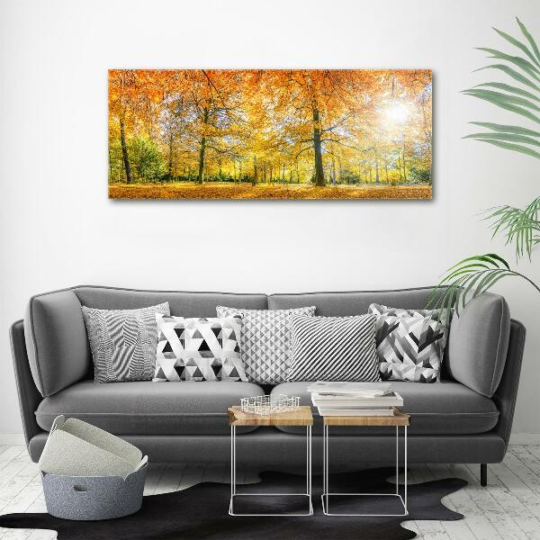 Foto op canvas Bos in de herfst