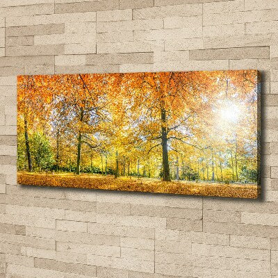 Foto op canvas Bos in de herfst