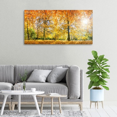 Foto op canvas Bos in de herfst